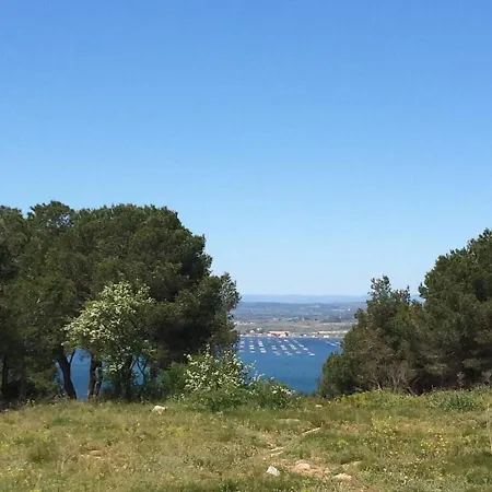 T2 Avec Garage Et Piscine A - Fr-1-338-484